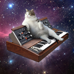 Fat Cats In Space