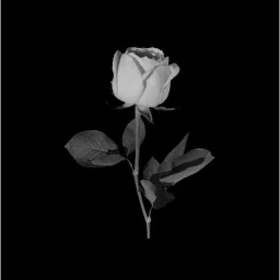 ┆✦ ୭ ˚. ᵎᵎ ˚ ⊹ icon