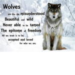 My Wolfy Pack