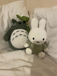 AXOLOTL GROUP FOR FRIENDS AND PEOPLE AND HI:)