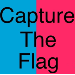 Capture the flag ⛳️
