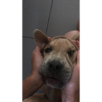 Maëlys <3