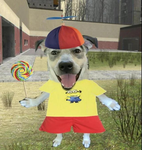 Joyful Dog Studios