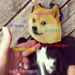 DOGE WILL NOT DIE