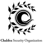Chaldea Security Organization (CSO)