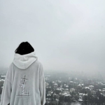 Bledout