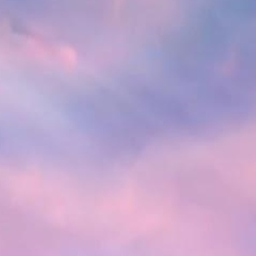 ぶ