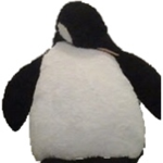 PengWin Studios