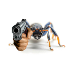 Ant's Cool Club