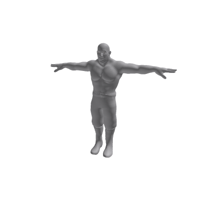 Auto-setup character model