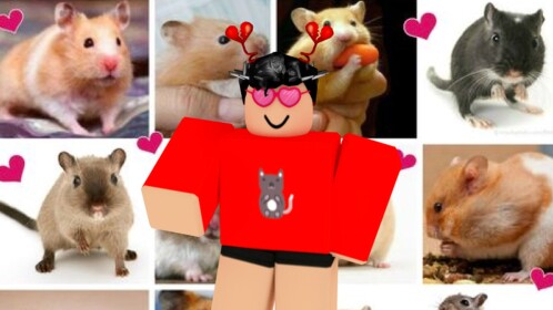 [NEW] Hamsters® Hangout