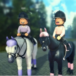 Equine Clothing