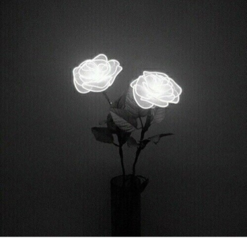 want to