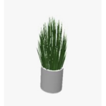 Spiky Plant :O