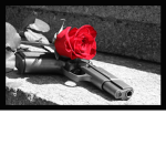 The Peaceful Shooters
