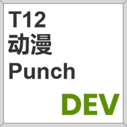 T12_DEV