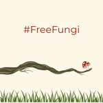 #FreeFungi