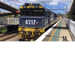 The nsw transport group