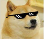 DOGE GROUP YAS