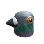 Pigon Squad