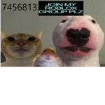 sheri fortnite group