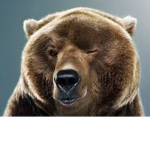 Bearz Camp