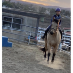 Horse queen’s