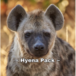 ~ Hyena Pack ~