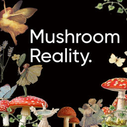 Mushroom Reality.