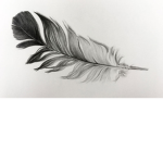 Feather Weight…