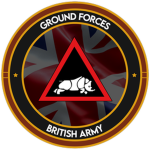 {VBA} 1st Infantry Forces Division