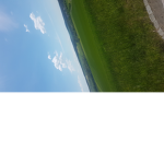 Scpbestis