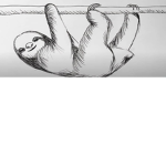 sloth power group