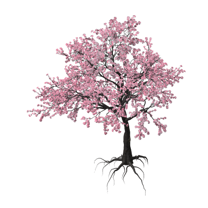 [UPDATE] Enhanced  Sakura Tree Real! Bloom Pink Ja