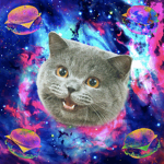 Galaxy Kitty Fan Group!