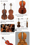 The Cello Players