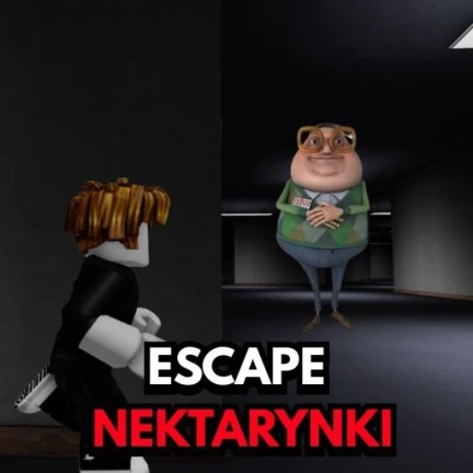 Image du serveur Roblox