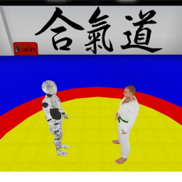 Aikido Okami