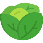 Team Lechuga