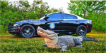 River side police