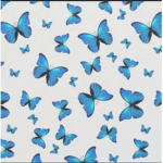 Butterly$$