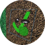 Checkmark Spave