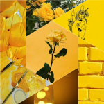 Yellow my elo