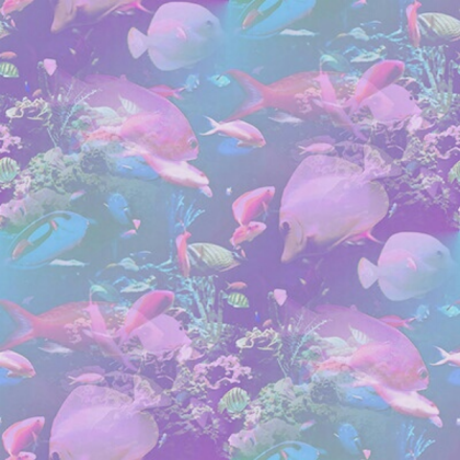 aesthetic-Fish Roblox decal