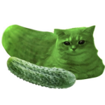 FÜS3
