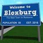 Girls and boys that play bloxburg