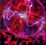 ghostfiles