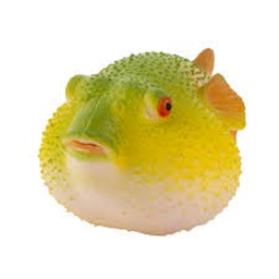 ୨୧𝓌𝑒𝒷𝓈𝓀𝓎𝓎