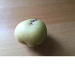 The Massive POTATO group