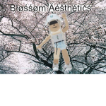 Blossoms Aesthetic <3
